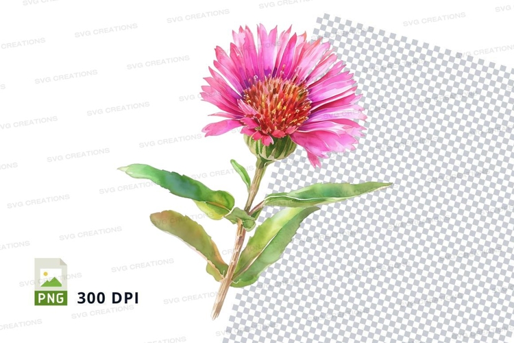 Pink Flower Png Image 8
