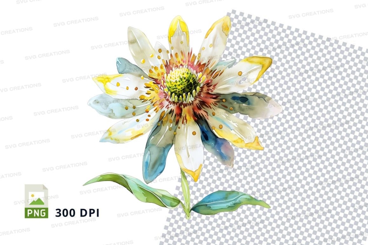 Feather Illustration Image 16