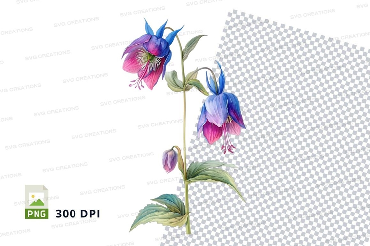 Nature Illustration Image 8