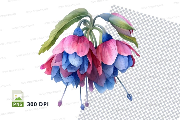 Beautiful fuchsia flowers clipart png