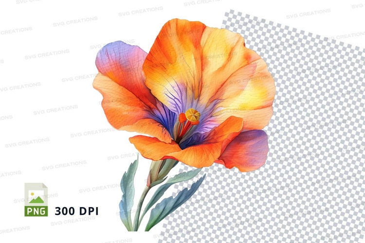 Poppy Clipart Image 14