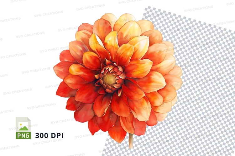 Vibrant orange dahlia flower clipart png