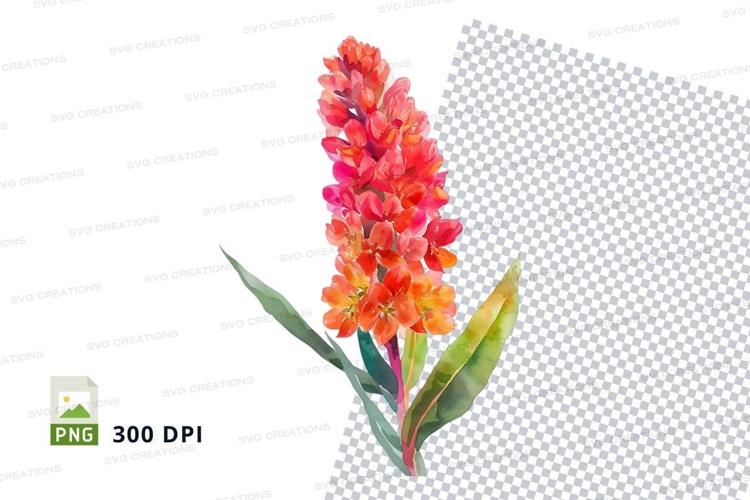 Vibrant flower clipart png