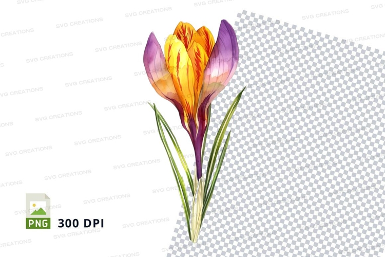 Daffodil Clipart Image 21