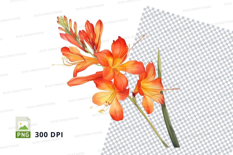 Daffodil Clipart Image 6