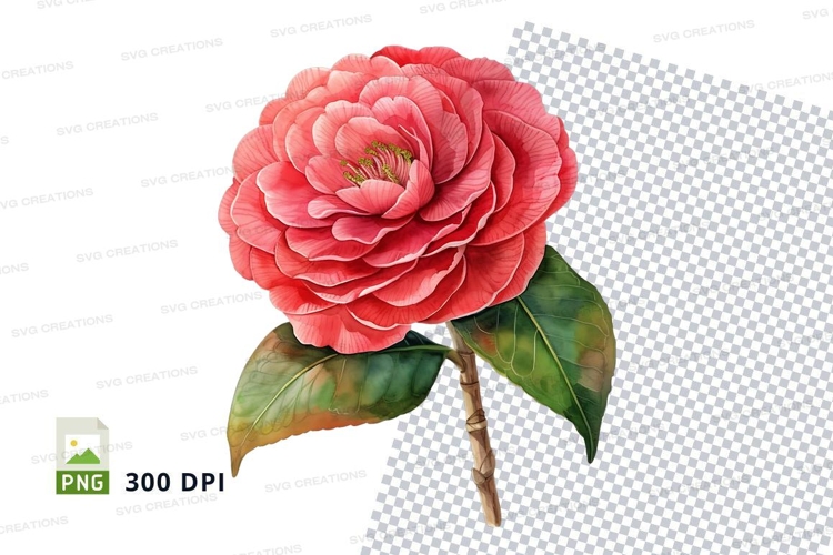 Transparent Background Flower Clipart Image 16