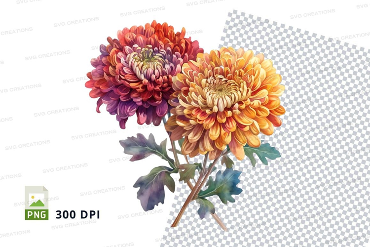 Vibrant chrysanthemum bouquet