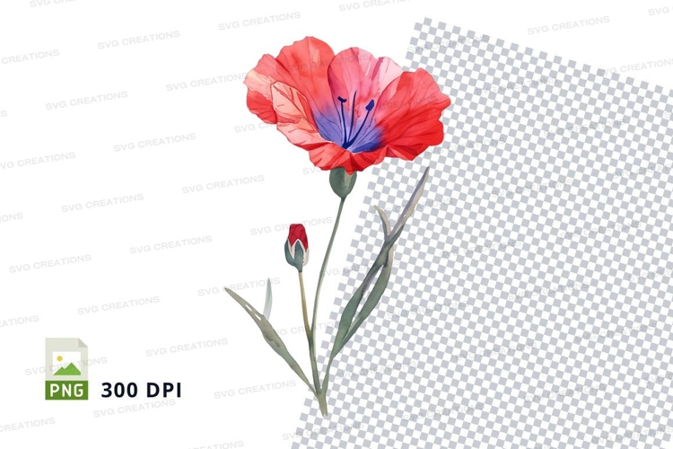 Nature Illustration Image 11