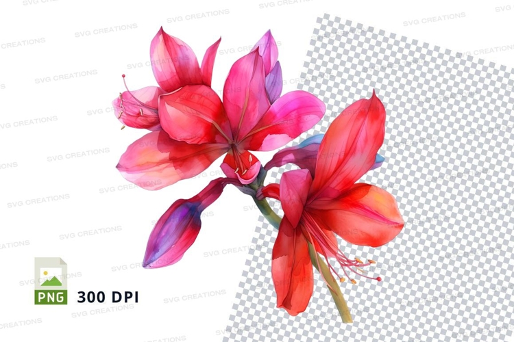 Transparent Background Flower Clipart Image 14