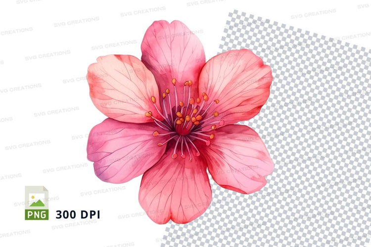 Pink cherry blossom flower clipart png