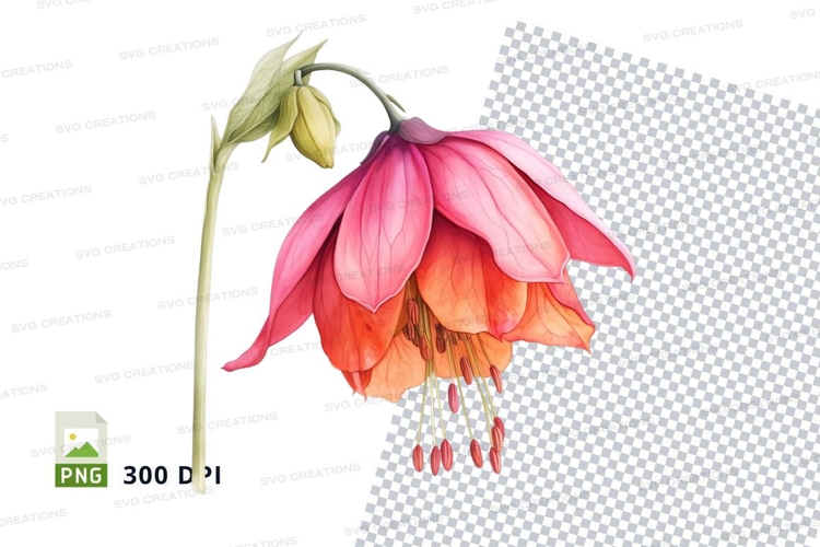 Pink Flower Png Image 16