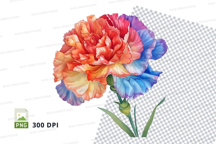 Carnation Illustration Image 21