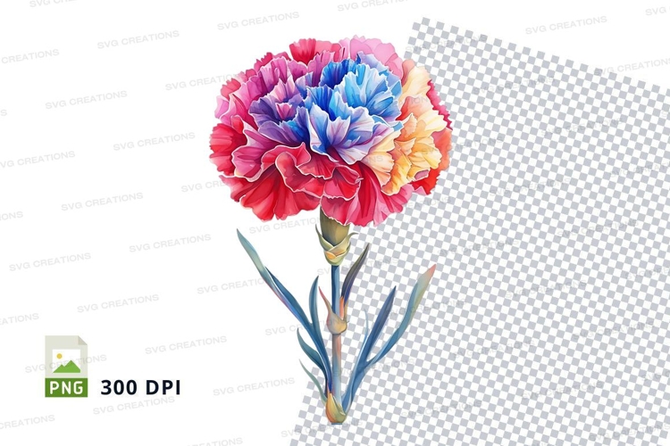 Carnation Illustration Image 20
