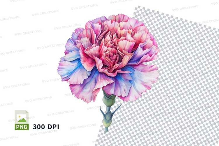 Carnation Illustration Image 18