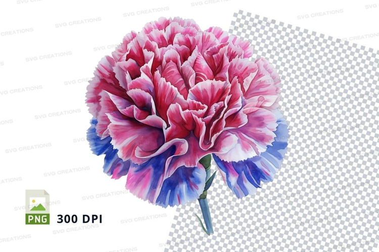 Vibrant carnations clipart png