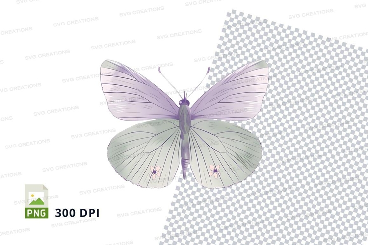 Pink Butterfly Clipart Image 4