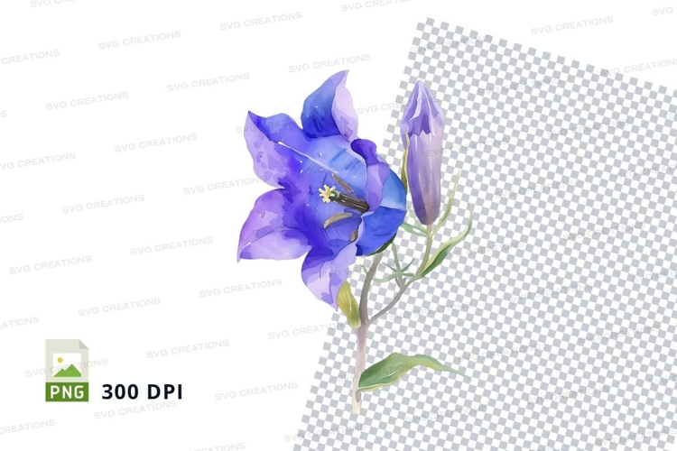 Dragonfly Png Image 21