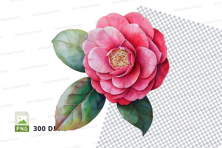 Pink Flower Png Image 21