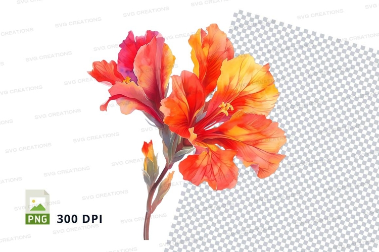 Vibrant hibiscus flowers clipart png