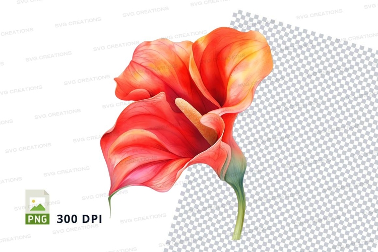Transparent Background Flower Clipart Image 9