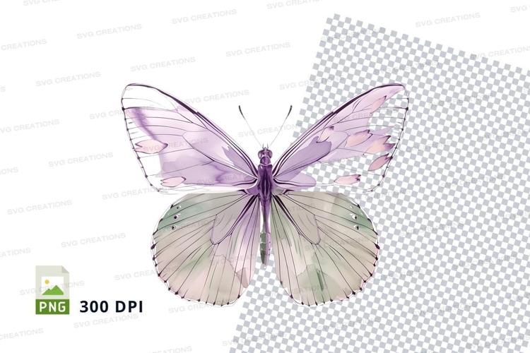 Carnation Illustration Image 17