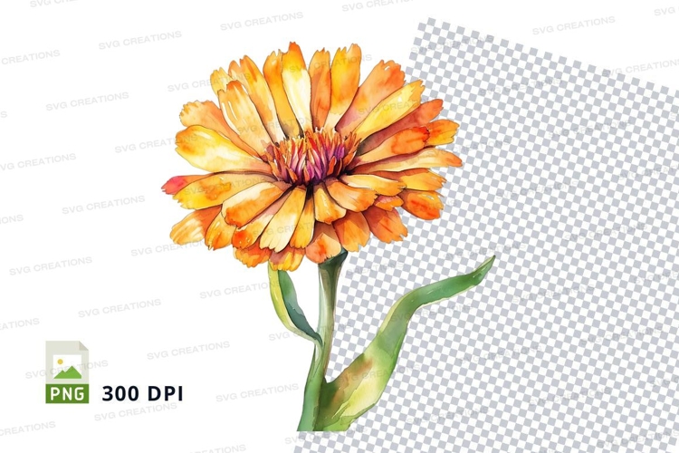 Transparent Background Flower Clipart Image 8