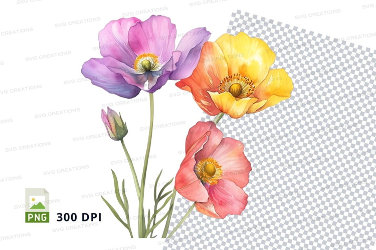 Poppy Clipart Image 10