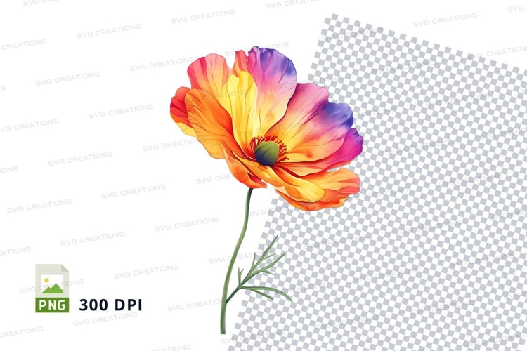 Colorful poppy flower clipart png