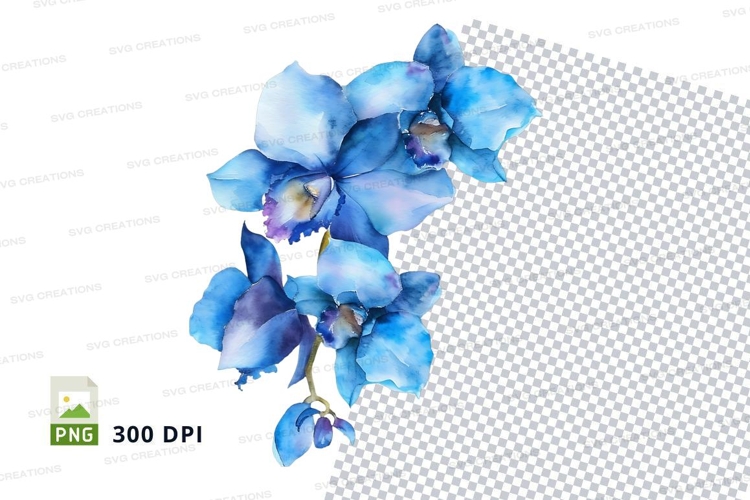 Orchids Png Image 21