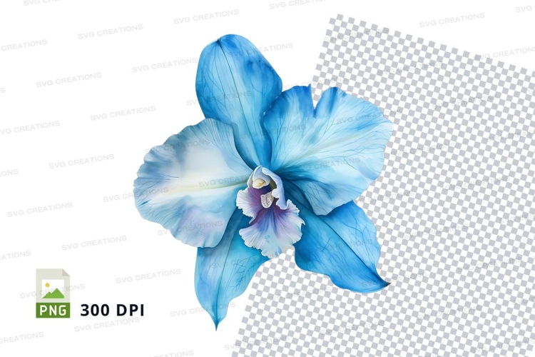 Orchid Png Image 4