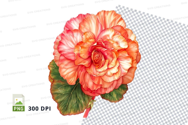 Rose Petals Png Image 12