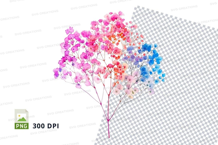 Colorful babys breath flowers clipart png