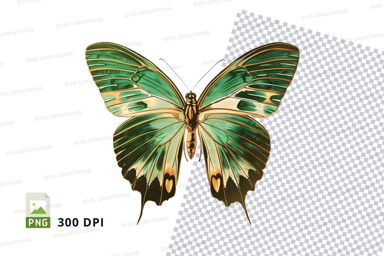 Insect Clipart Image 24