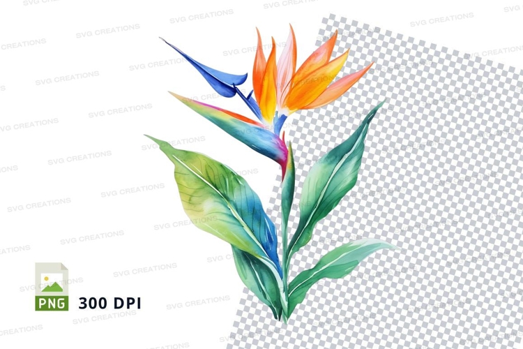 Shells Clipart Image 5