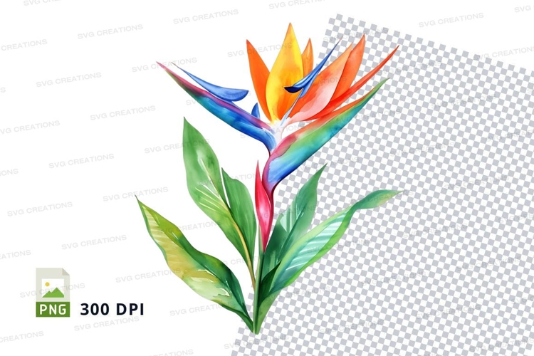 Flower Clipart Png Image 20