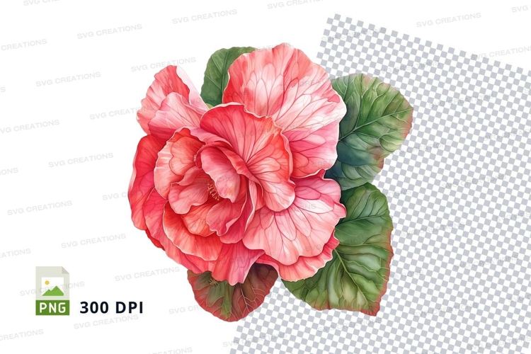 Hibiscus Flower Clipart Image 20