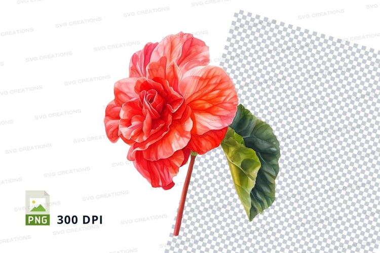 Vibrant red flower clipart png