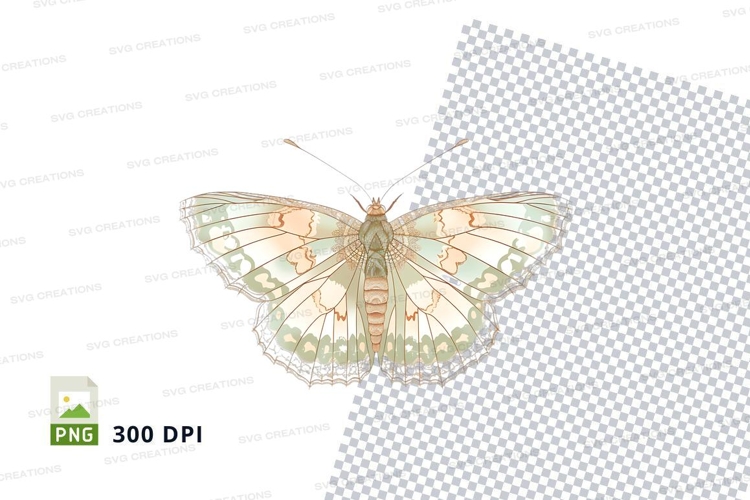 Butterfly clipart png