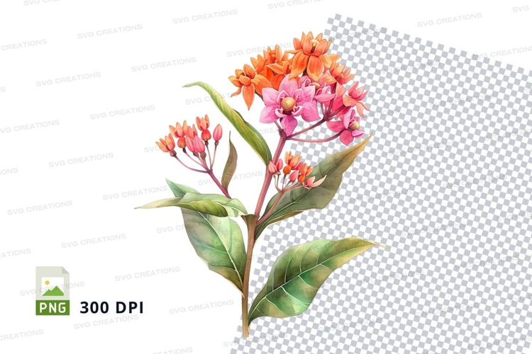 Vibrant flower clipart png