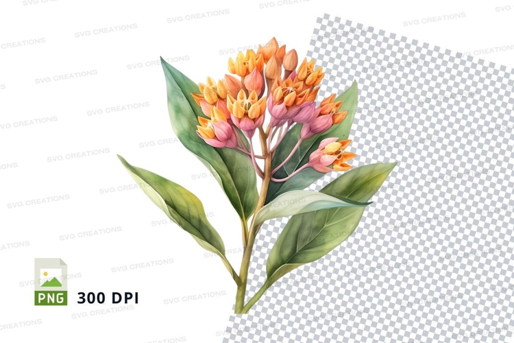 Watercolor flower clipart png