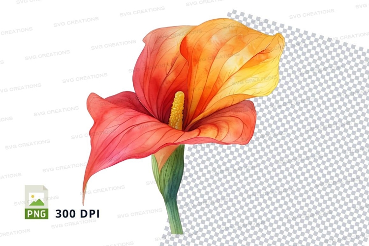 Vibrant flower clipart png