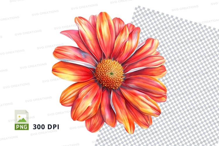 Orange Flower Png Image 20
