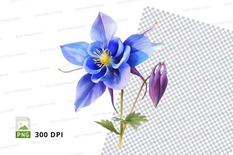 Blue columbine flower clipart png