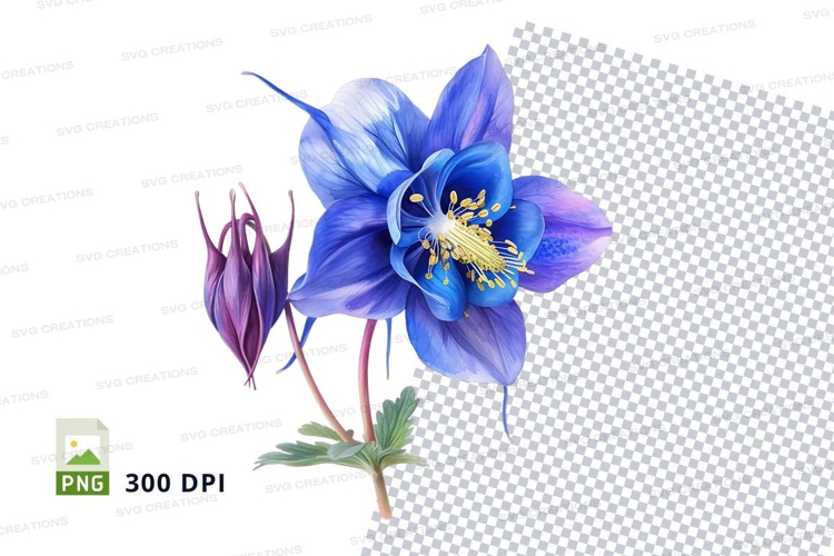 Blue columbine flower clipart png