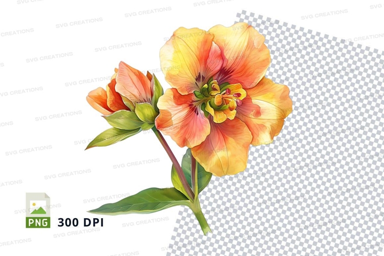Hibiscus Flower Clipart Image 16