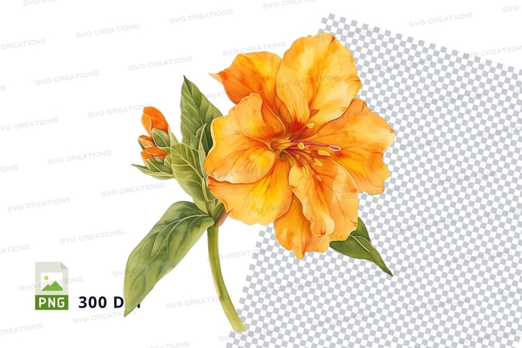 Orange Flower Png Image 14