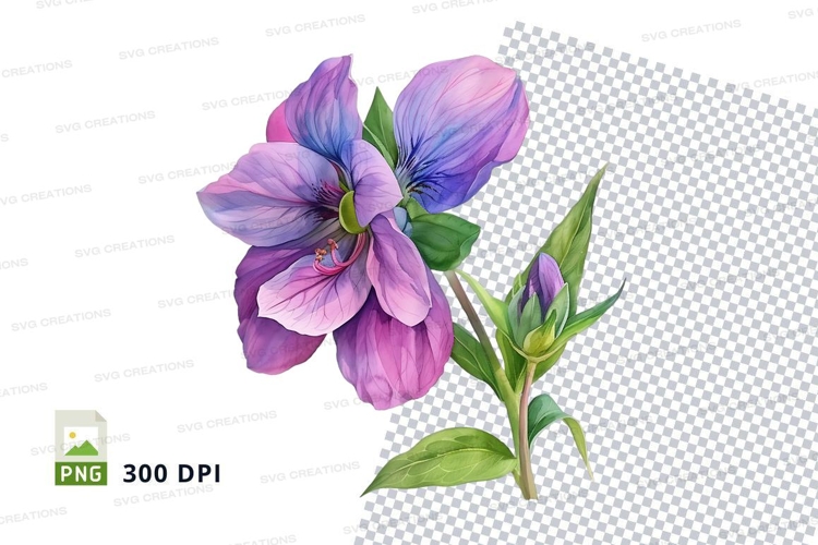 Poppy Clipart Image 15