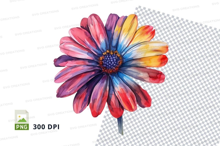 Colorful daisy clipart png