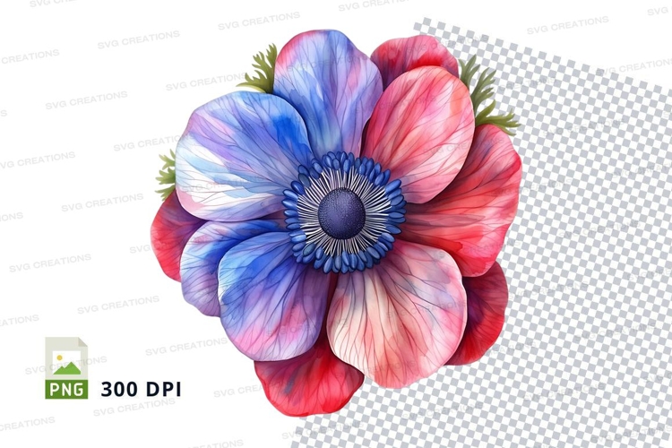 Colorful anemone flower clipart png