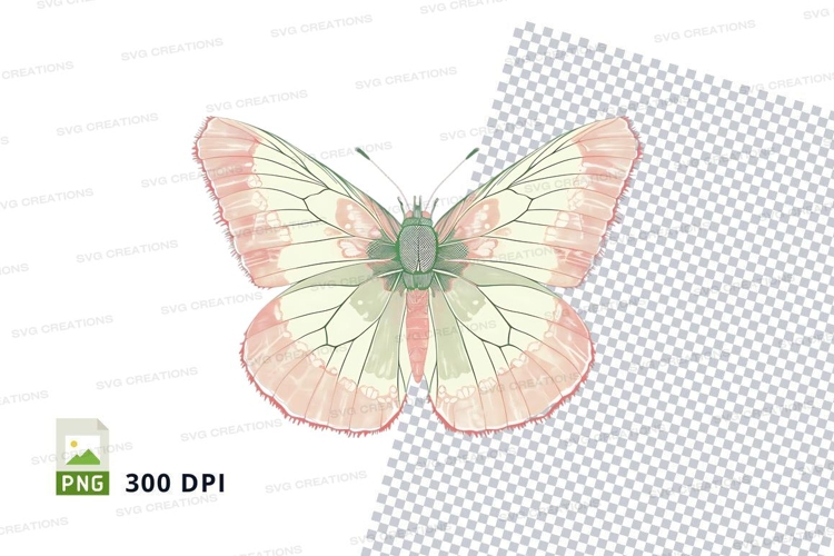 Pink Butterfly Clipart Image 4